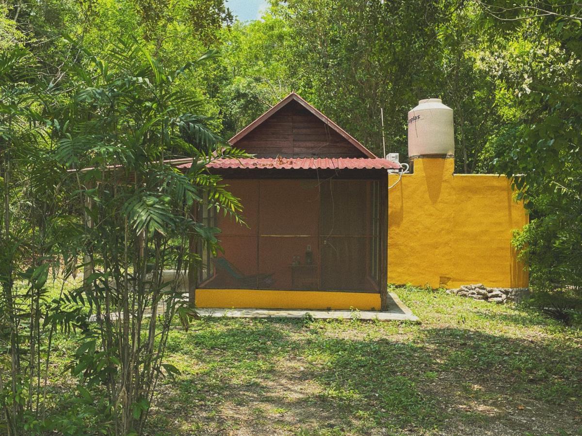 斯普希尔Ecohabitat住宿加早餐旅馆 外观 照片